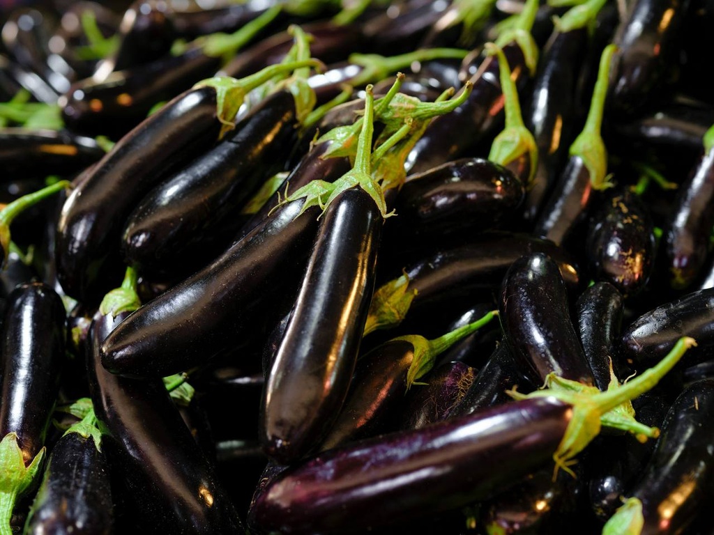 Aubergine